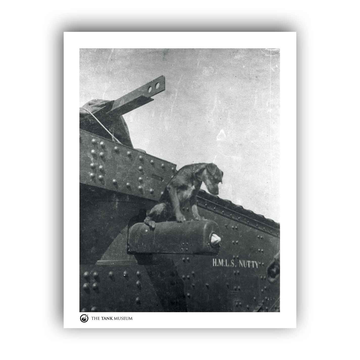Art Print: Heavy Tank HMLS Nutty Dog
