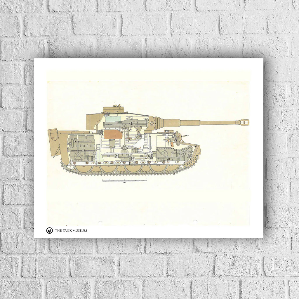 Art Print: Tiger Drawings Pack - Image 4