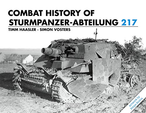 Combat History Of Sturmpanzer-Abteilung 217