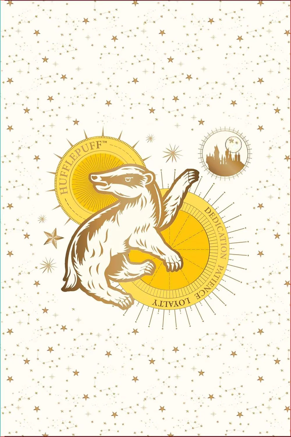 Harry Potter: Hogwarts Constellation Card Portfolio Set: Set of 20 Cards - Image 4