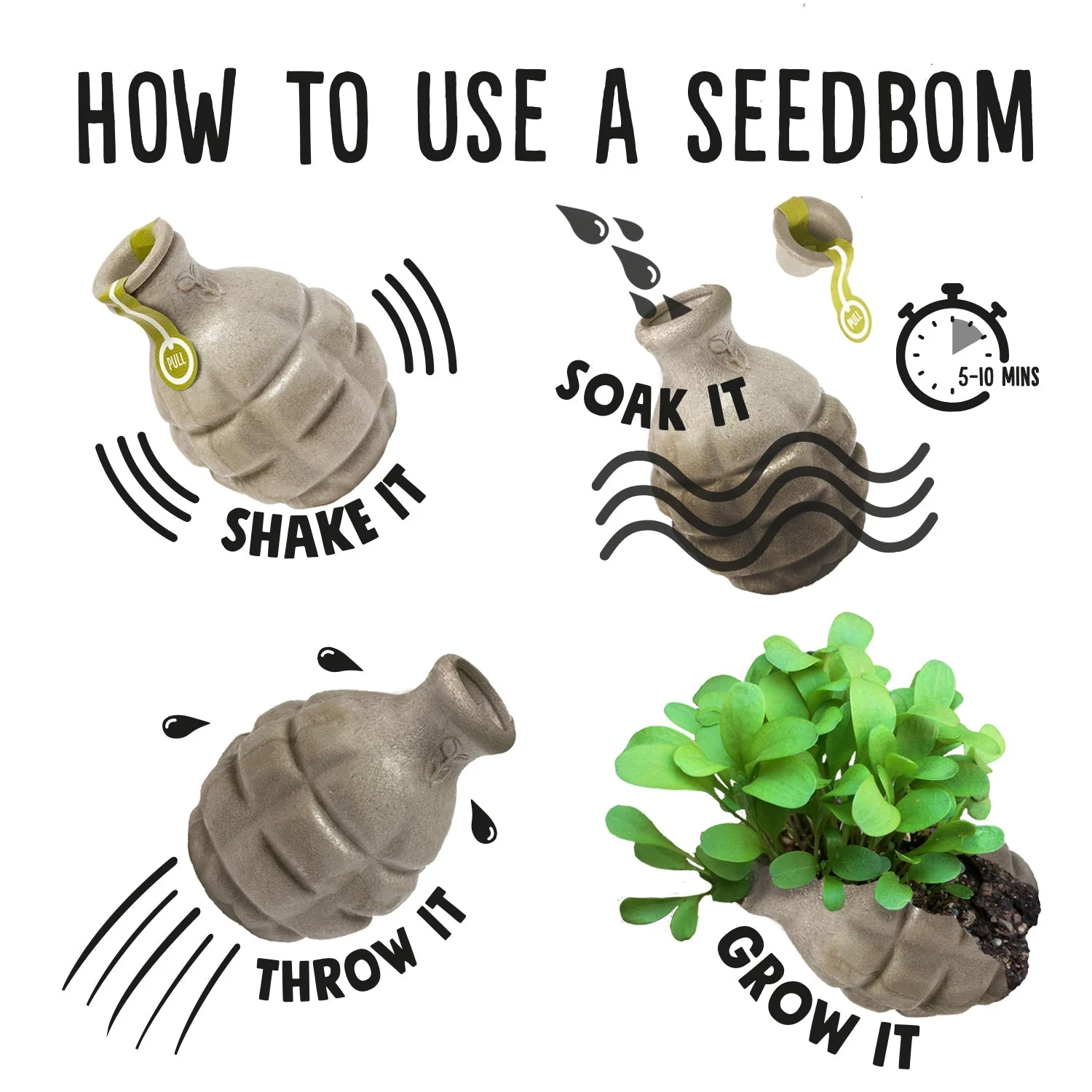 Kabloom Seedbom - Image 4