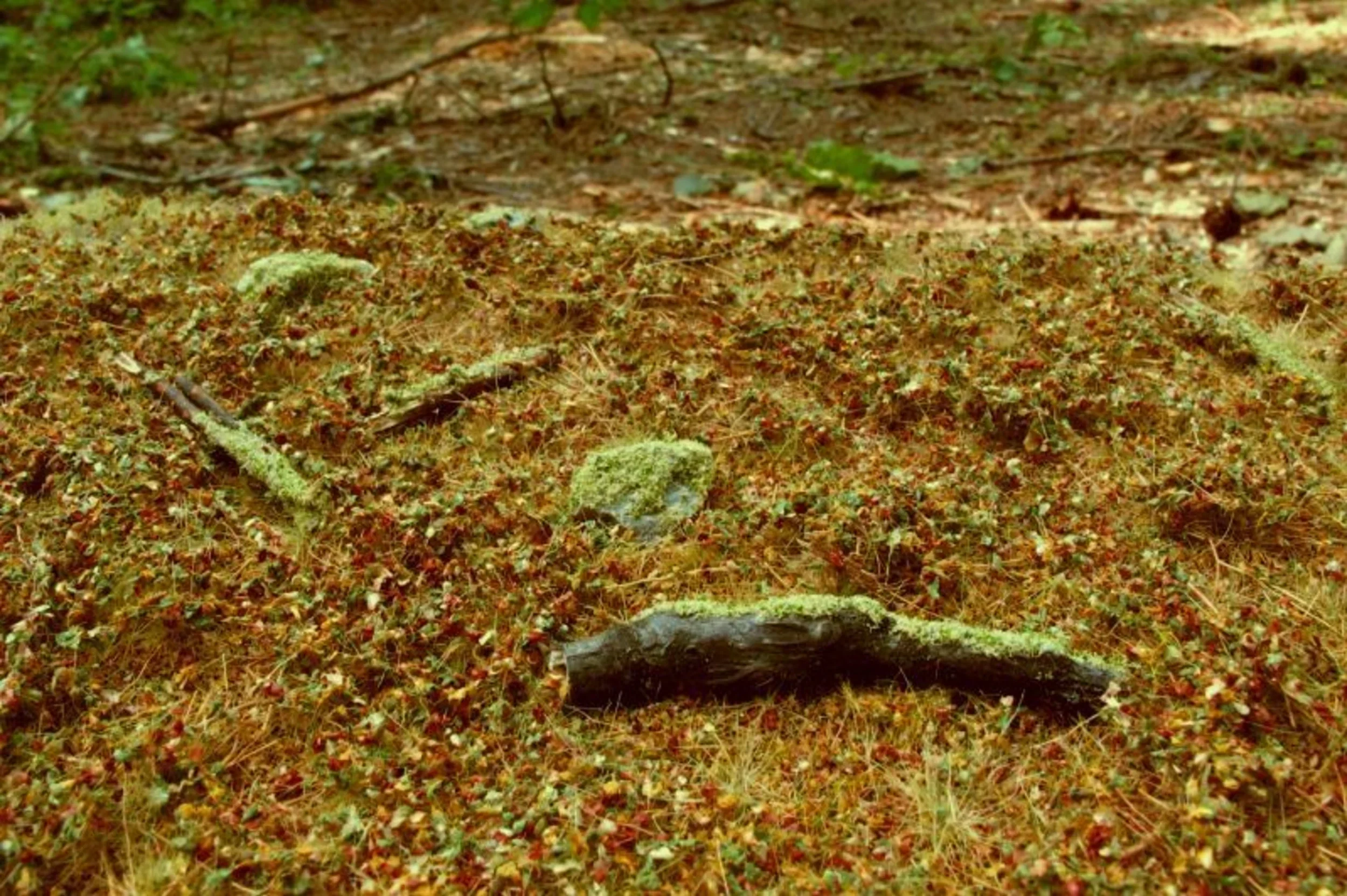 Model Scene.  Diorama Scenic Mats - Image 12