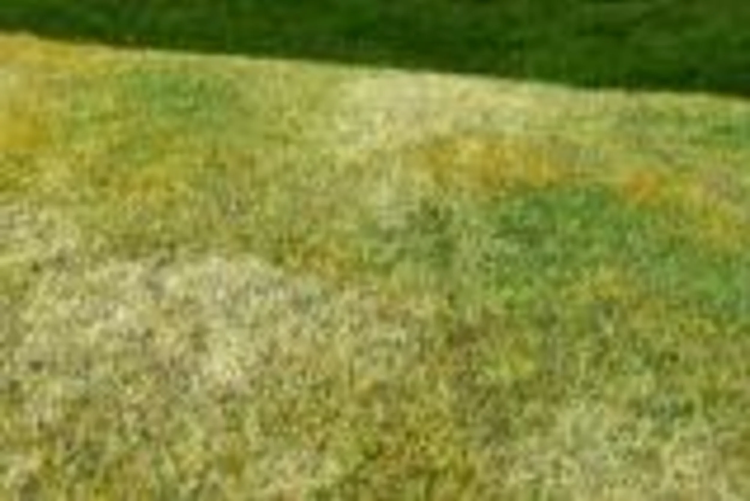 Model Scene.  Diorama Scenic Mats - Image 6