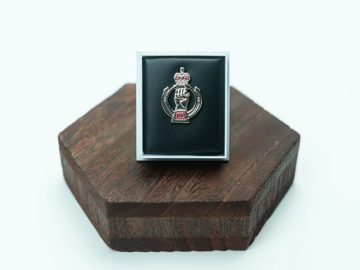 Regimental Pin Badges - Image 11