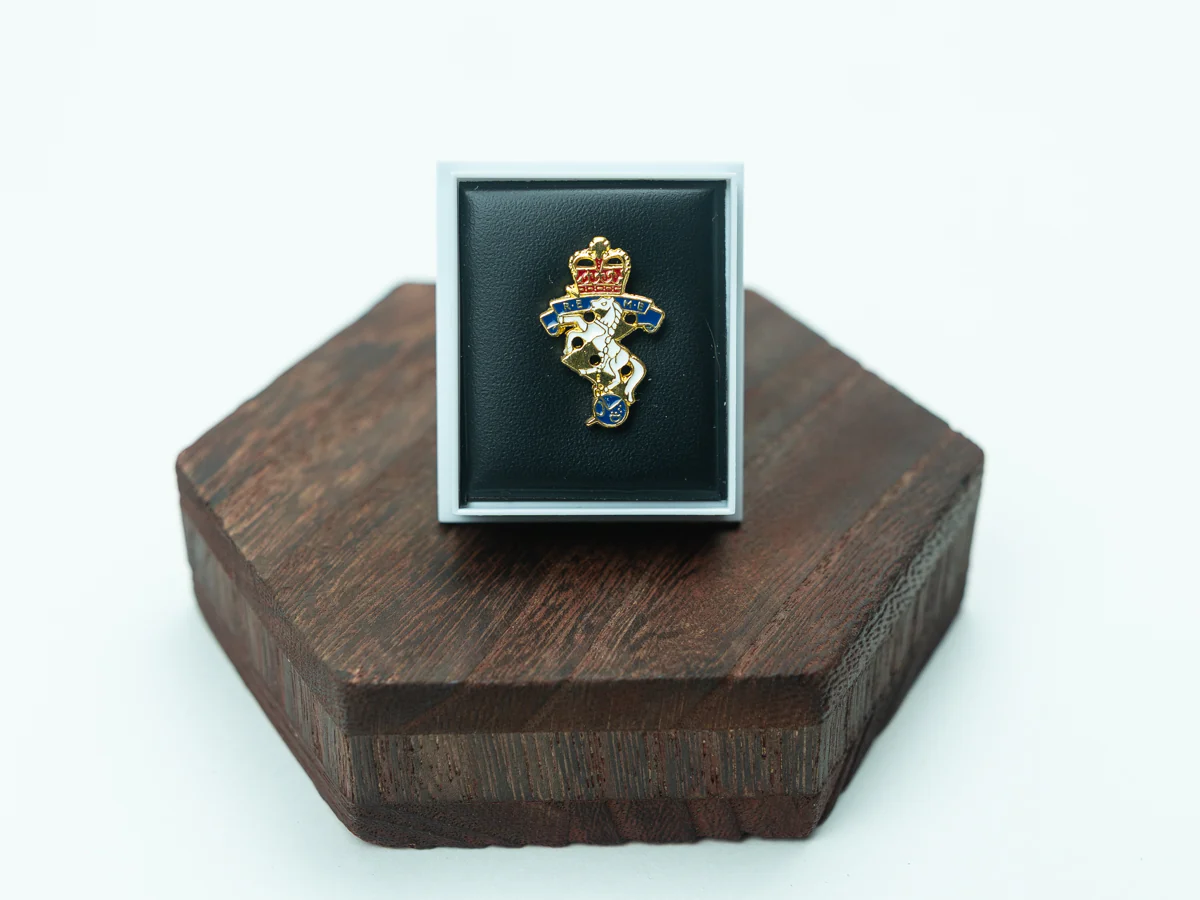 Regimental Pin Badges - Image 12