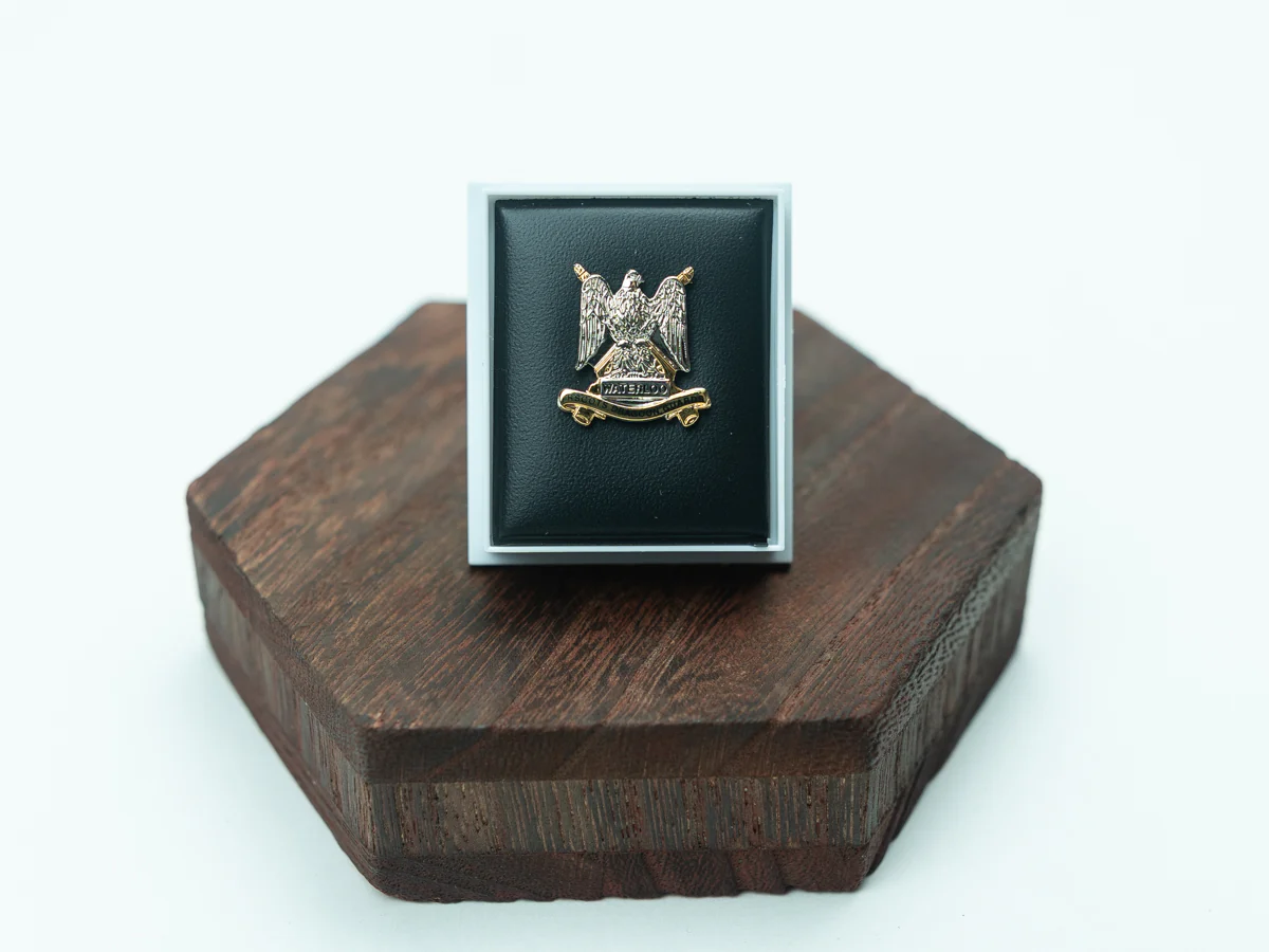 Regimental Pin Badges - Image 6