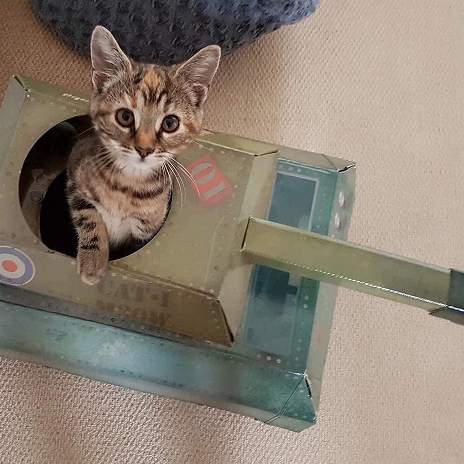 Cat Tank Playhouse - Image 3