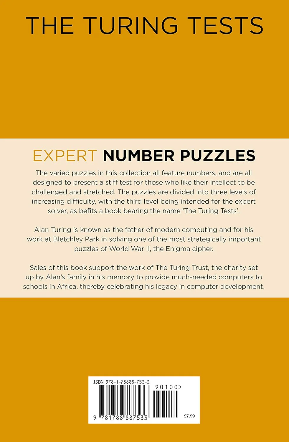 The Turing Tests: Expert Number Puzzles - Image 2