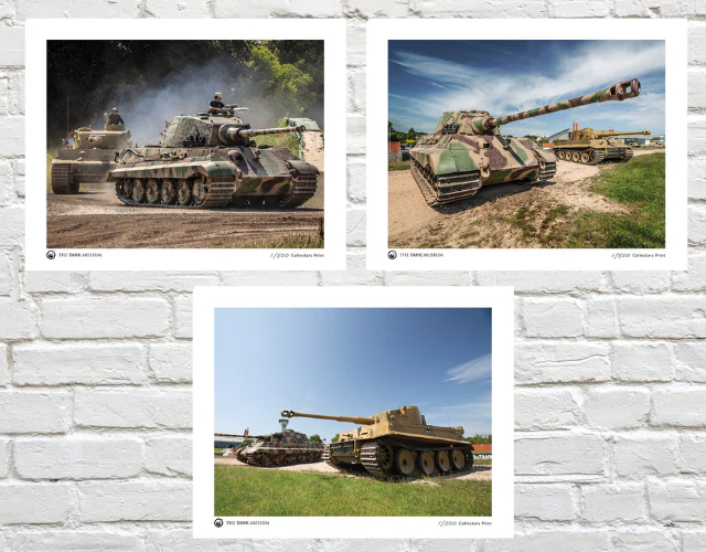 Limited Edition Running Tigers Art Print: 3 for £30